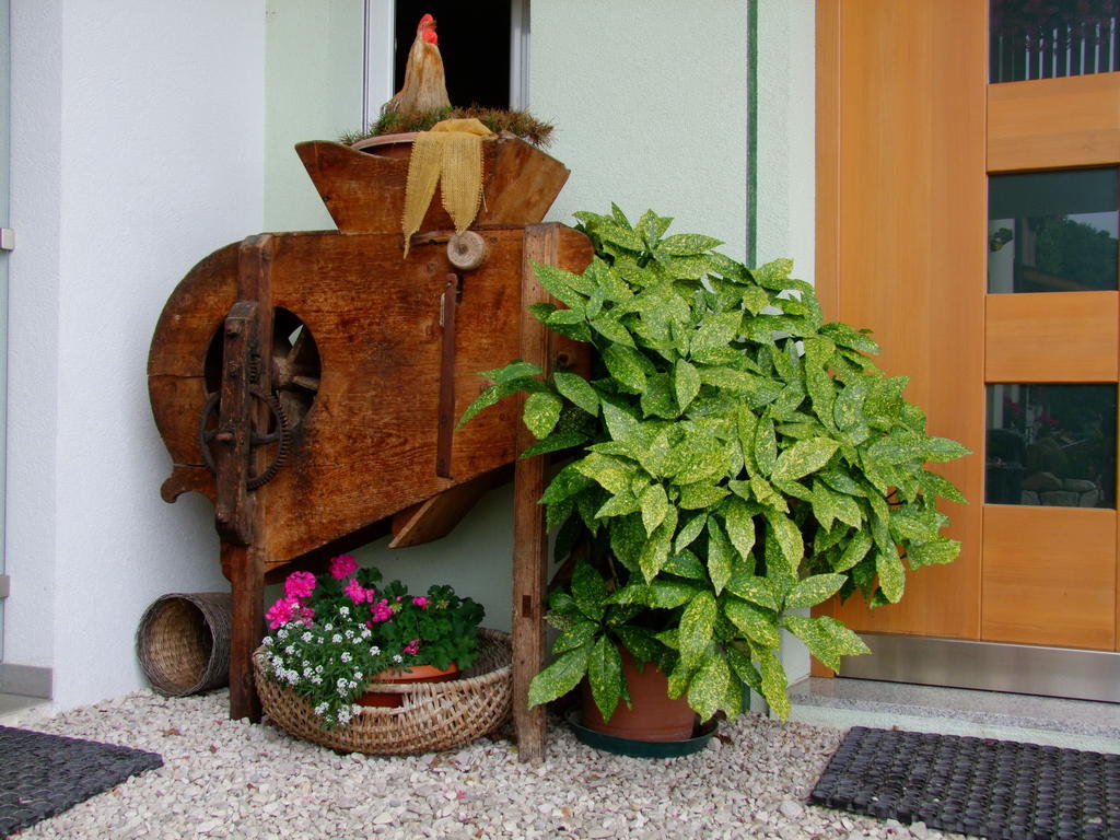 Kerschbamerhof Im Sueden Suedtirols Cortaccia Exterior foto